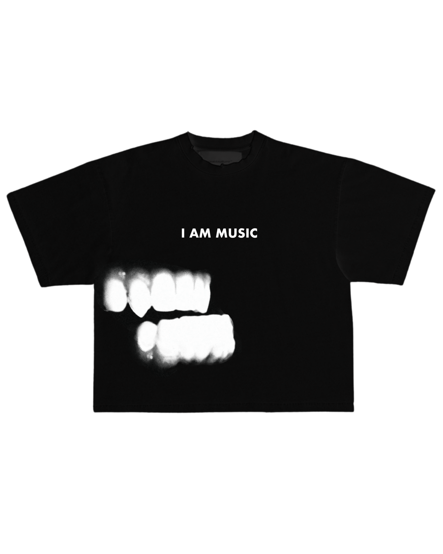 “I am music” Hiddn Tee
