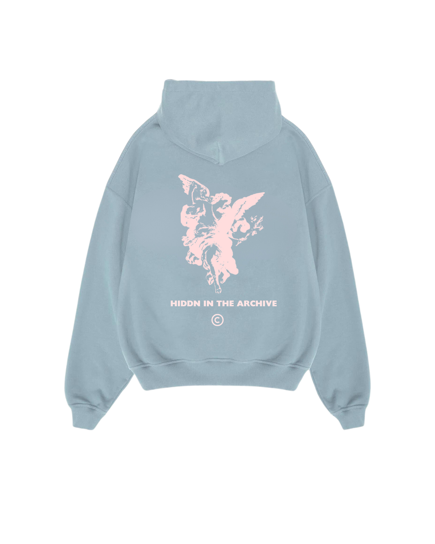 Hiddn in the archive Baby Blue Hoodie