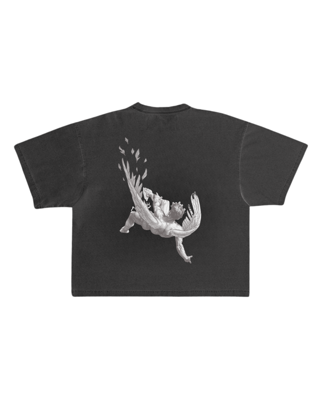 Icarus Black Hiddn Tee