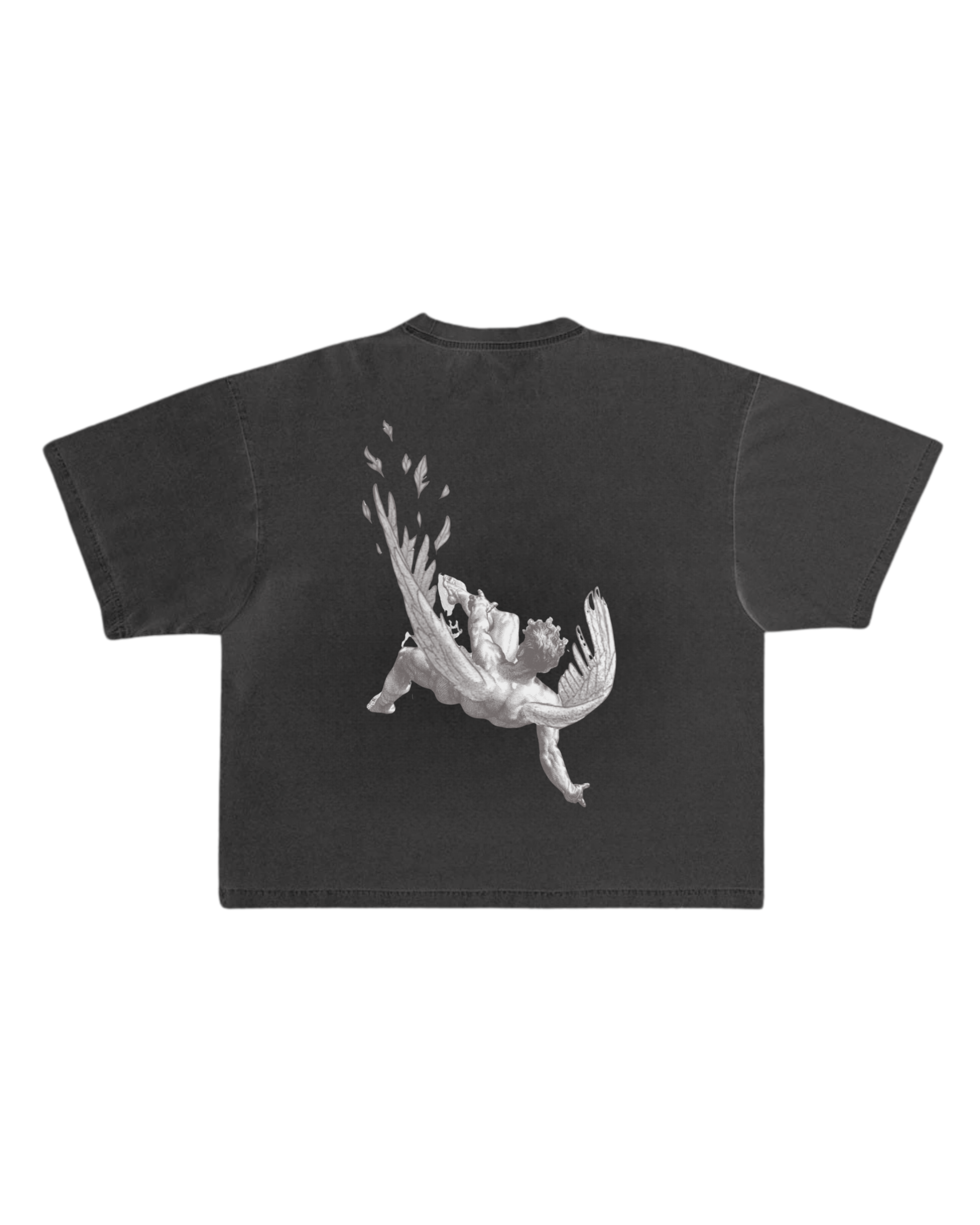 Icarus Black Hiddn Tee