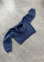 Boxy Vintage Wings Heavy hoodie